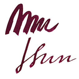 Diamine Fountain Pen Ink - Writer's Blood, 80 ml swatch