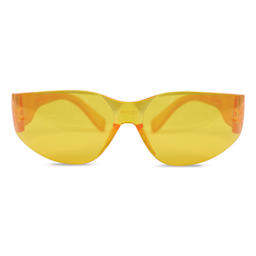 Alumilite UV Protective Eyeglasses - front view