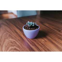 Jesmonite Silicone Pot Mold - Shaped Pot finished project with planted plant