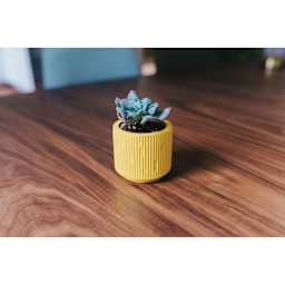 Jesmonite Silicone Pot Mold - Fluted Pot completed project with plant