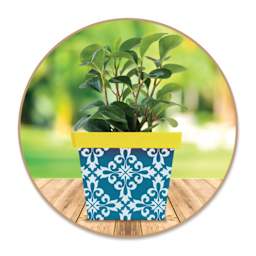 Craft Medley Wood Garden Pots - Set of 3, Squares (Painted pot with plant, Plant not included)