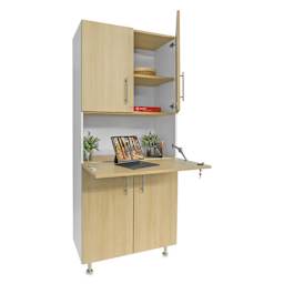 Whitney Brothers ElevatED Workstation Cabinet, in use