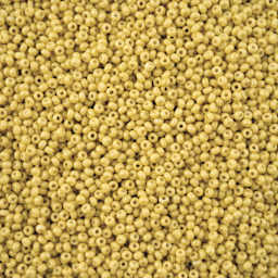 John Bead Solgel Chalk Dyed Czech Seed Beads - 11/0, Mustard