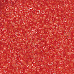 John Bead Terra Intensive Lining Czech Glass Seed Beads - 11/0, Orange