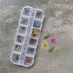 Jewelry Made By Me Dried Flower Inclusions - Pkg of 24, Small with Case