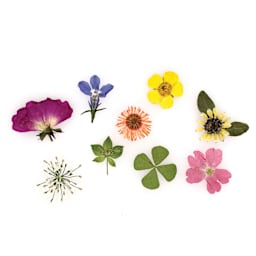 Jewelry Made By Me Dried Flower Inclusions - Pkg of 19, Medium