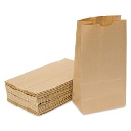 Hygloss Kraft Brown Paper Bags - Pkg of 100, #6 Large