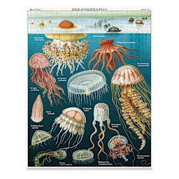 Cavallini Vintage Jellyfish 1,000 Piece Puzzle completed