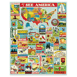 Cavallini Vintage See America 1,000 Piece Puzzle completed puzzle