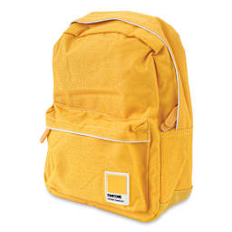 Pantone Mini Backpacks