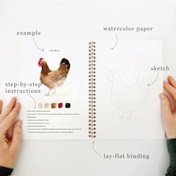 Emily Lex Studio Animals Watercolor Workbook, rooster sketch
