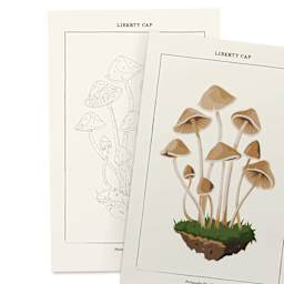 Coloready Paint by Number Kit - Mushroom Botanical, finished example