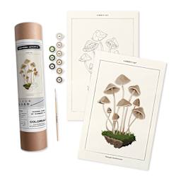Coloready Paint by Number Kit - Mushroom Botanical, kit with finished example