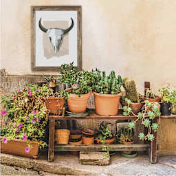 Coloready Paint by Number Kit - American Southwest, framed finished example