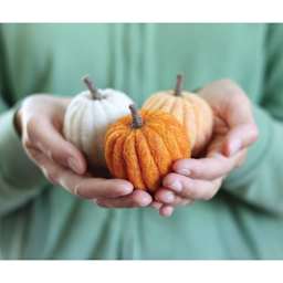 Grey Fox Felting Needle Felting Project Kit - Pumpkin (Finished felted pumpkins)