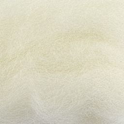 Wistyria Editions 100% Wool Roving - Natural - close-up