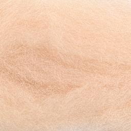 Wistyria Editions 100% Wool Roving - Soft Peach, 14" - close-up