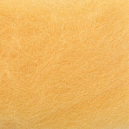 Wistyria Editions 100% Wool Roving - Honey, 14" - close-up
