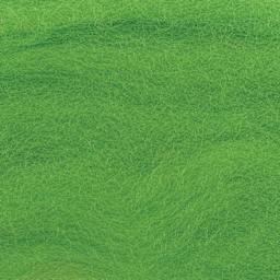 Wistyria Editions 100% Wool Roving - Lime, 14" - close-up