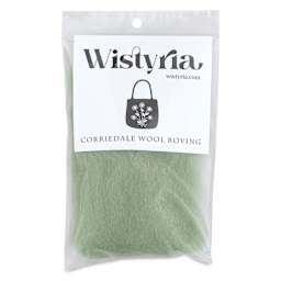 Wistyria Editions 100% Wool Roving - Mint, 14" - front of packaging