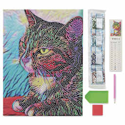 Craft Medley Diamond Painting Canvas Art Kit - Cat 2 - contents