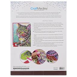Craft Medley Diamond Painting Canvas Art Kit - Cat 2 - back of packaging