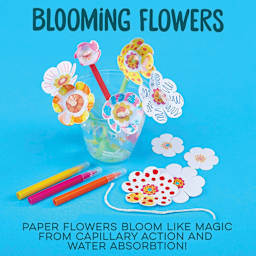 Let's Craft S.T.E.A.M. School Painting Science Set (blooming flowers)