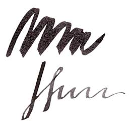 Monteverde Core Fountain Pen Ink - Midnight Black swatch