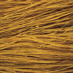 SuperMoss Raffia - Golden - close-up