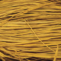 SuperMoss Raffia - Golden - close-up