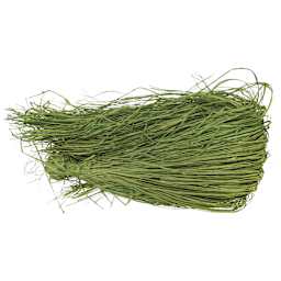 SuperMoss Raffia - Basil, 16 oz