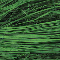 SuperMoss Raffia - Green Grass - close-up