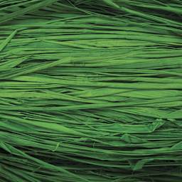 SuperMoss Raffia - Grass Green - close-up