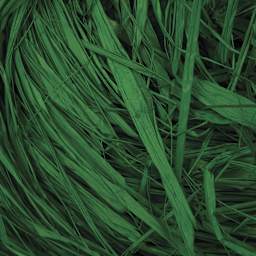 SuperMoss Raffia - Christmas Green - close-up