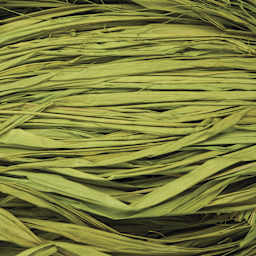SuperMoss Raffia - Basil - close-up