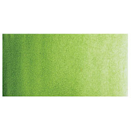 PWC Extra Fine Professional Watercolor - Sap Green, 15 ml, Swatch