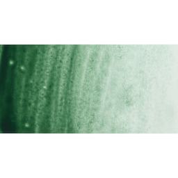 PWC Extra Fine Professional Watercolor - Terre Verte swatch