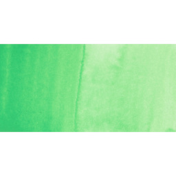 PWC Extra Fine Professional Watercolor - Green Pale swatch