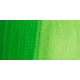 PWC Extra Fine Professional Watercolor - Permanent Green 1 swatch