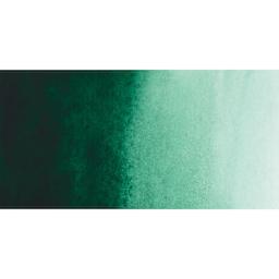 PWC Extra Fine Professional Watercolor - Phthalo Green Dark swatch