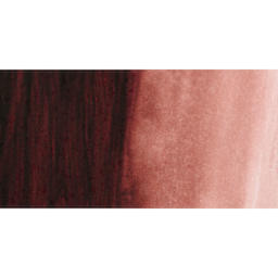 PWC Extra Fine Professional Watercolor - Brown Red swatch