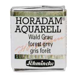 Schmincke Horadam Aquarell Artist Watercolor - Forest Grey, Supergranulation, Half Pan