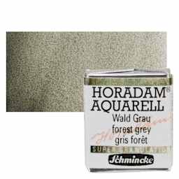 Schmincke Horadam Aquarell Artist Watercolor - Forest Grey, Supergranulation, Half Pan and swatch