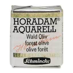 Schmincke Horadam Aquarell Artist Watercolor - Forest Olive, Supergranulation, Half Pan