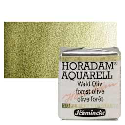 Schmincke Horadam Aquarell Artist Watercolor - Forest Olive, Supergranulation, Half Pan and swatch