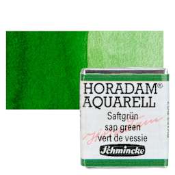 Schmincke Horadam Aquarell Watercolor - Sap Green, Half Pan and swatch