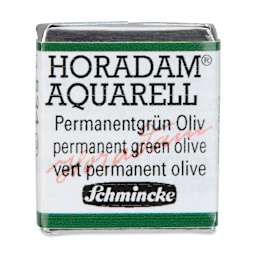 Schmincke Horadam Aquarell Artist Watercolor - Permanent Green Olive, Half Pan