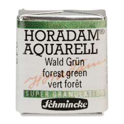 Schmincke Horadam Aquarell Artist Watercolor - Forest Green, Supergranulation, Half Pan