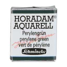 Schmincke Horadam Aquarell Artist Watercolor - Perylene Green, Half Pan