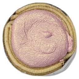 Beam Paints Watercolor Paintstone - Fireweed top view